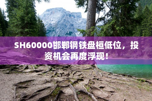 SH60000邯郸钢铁盘桓低位，投资机会再度浮现！