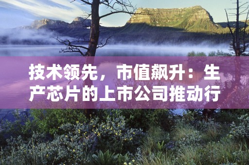 技术领先，市值飙升：生产芯片的上市公司推动行业发展！