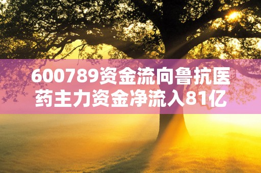 600789资金流向鲁抗医药主力资金净流入81亿元，超大单资金大幅增仓！