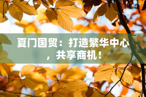 夏门国贸：打造繁华中心，共享商机！