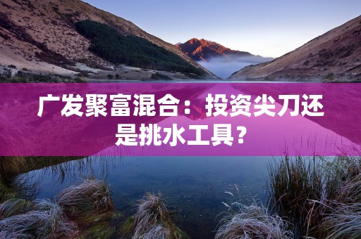 广发聚富混合：投资尖刀还是挑水工具？