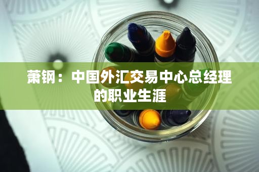 萧钢：中国外汇交易中心总经理的职业生涯