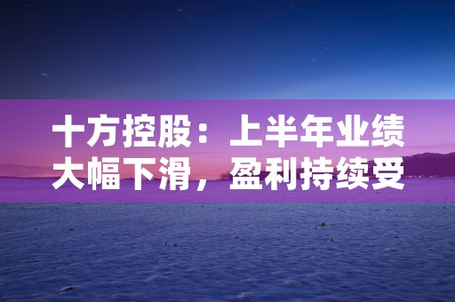 十方控股：上半年业绩大幅下滑，盈利持续受挫