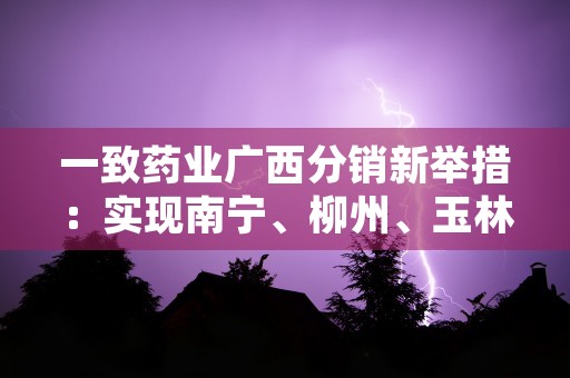 一致药业广西分销新举措：实现南宁、柳州、玉林三地网络结构