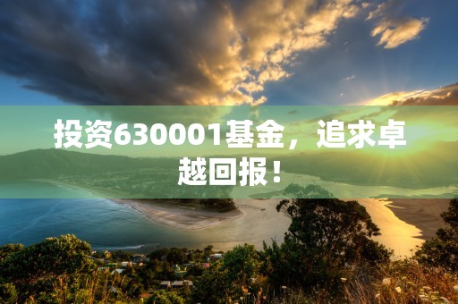 投资630001基金，追求卓越回报！