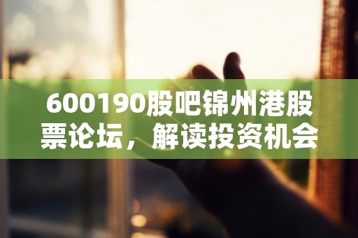 600190股吧锦州港股票论坛，解读投资机会