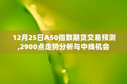 12月25日A50指数期货交易预测,2900点走势分析与中线机会