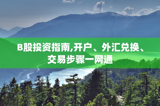 B股投资指南,开户、外汇兑换、交易步骤一网通