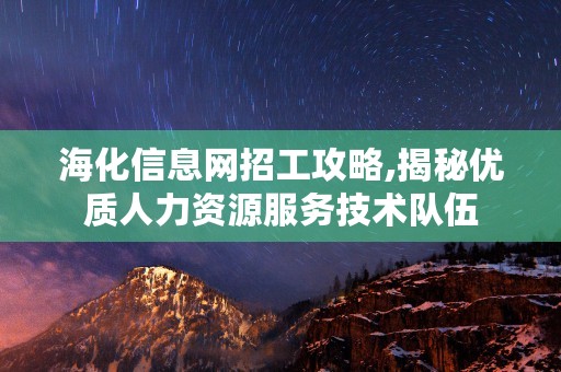 海化信息网招工攻略,揭秘优质人力资源服务技术队伍