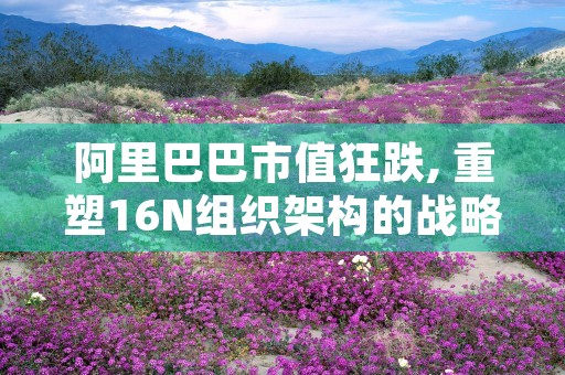 阿里巴巴市值狂跌, 重塑16N组织架构的战略意义