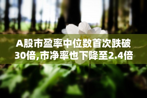 A股市盈率中位数首次跌破30倍,市净率也下降至2.4倍