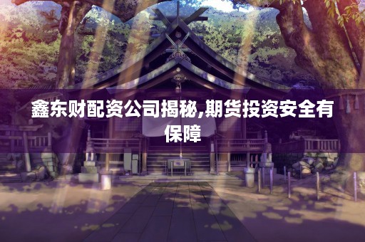 鑫东财配资公司揭秘,期货投资安全有保障