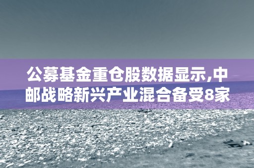 公募基金重仓股数据显示,中邮战略新兴产业混合备受8家公募基金青睐