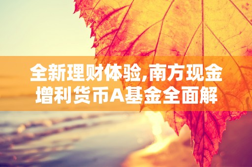 全新理财体验,南方现金增利货币A基金全面解读