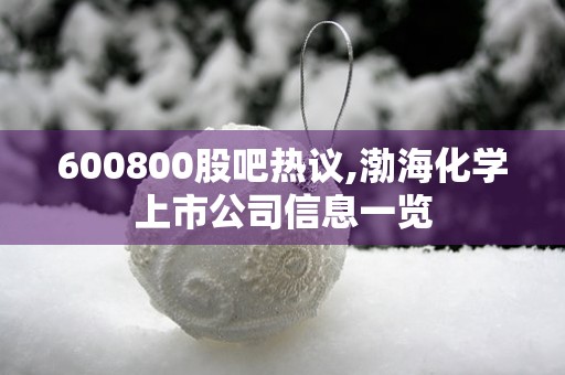 600800股吧热议,渤海化学上市公司信息一览