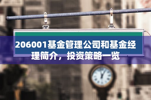 206001基金管理公司和基金经理简介，投资策略一览