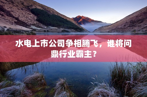 水电上市公司争相腾飞，谁将问鼎行业霸主？