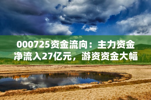 000725资金流向：主力资金净流入27亿元，游资资金大幅净流出