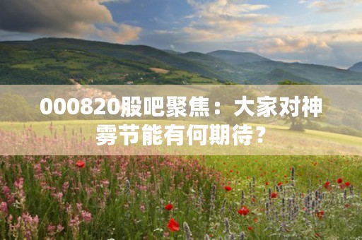 000820股吧聚焦：大家对神雾节能有何期待？