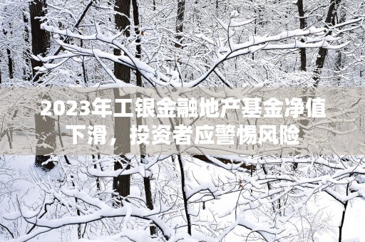 2023年工银金融地产基金净值下滑，投资者应警惕风险