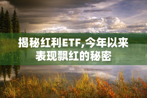 揭秘红利ETF,今年以来表现飘红的秘密