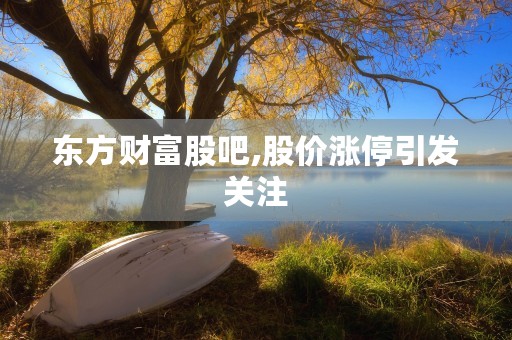 东方财富股吧,股价涨停引发关注