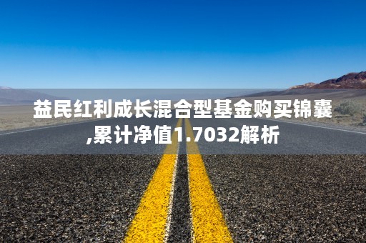 益民红利成长混合型基金购买锦囊,累计净值1.7032解析