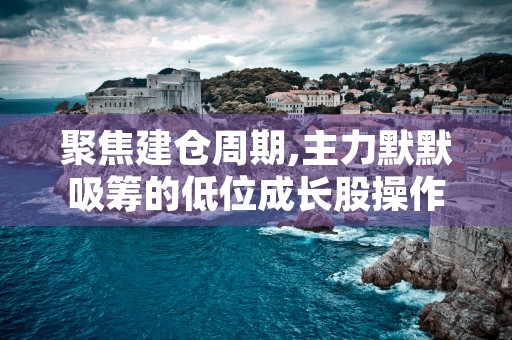 聚焦建仓周期,主力默默吸筹的低位成长股操作技巧