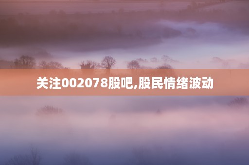 关注002078股吧,股民情绪波动