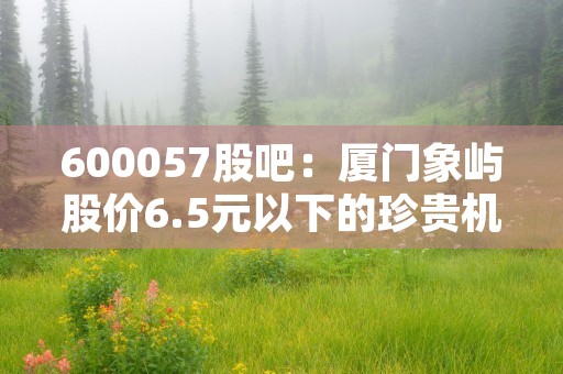 600057股吧：厦门象屿股价6.5元以下的珍贵机会！