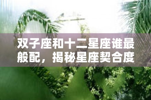 天蝎座运势陶白白，陶白白专业解读带你掌握幸运指南