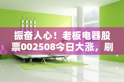 振奋人心！老板电器股票002508今日大涨，刷新历史最高点！