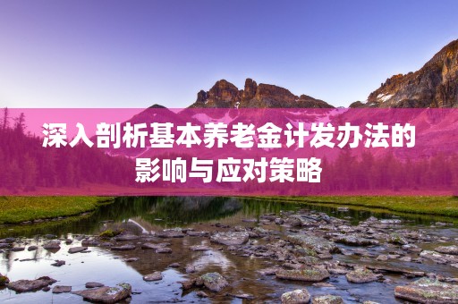 深入剖析基本养老金计发办法的影响与应对策略