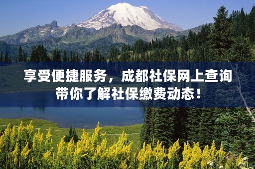 享受便捷服务，成都社保网上查询带你了解社保缴费动态！