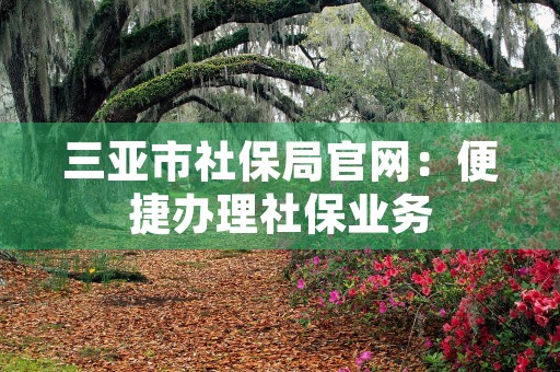 三亚市社保局官网：便捷办理社保业务