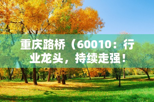 重庆路桥（60010：行业龙头，持续走强！