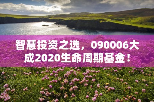 智慧投资之选，090006大成2020生命周期基金！