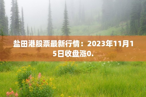 盐田港股票最新行情：2023年11月15日收盘涨0.