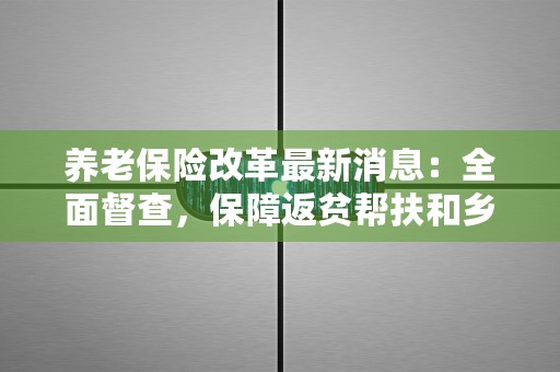 养老保险改革最新消息：全面督查，保障返贫帮扶和乡村建设工程！