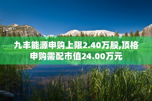 九丰能源申购上限2.40万股,顶格申购需配市值24.00万元