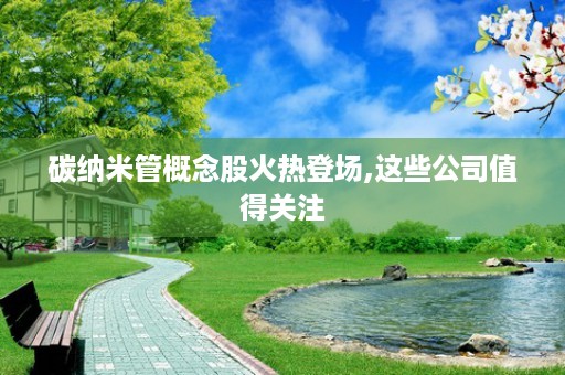 碳纳米管概念股火热登场,这些公司值得关注