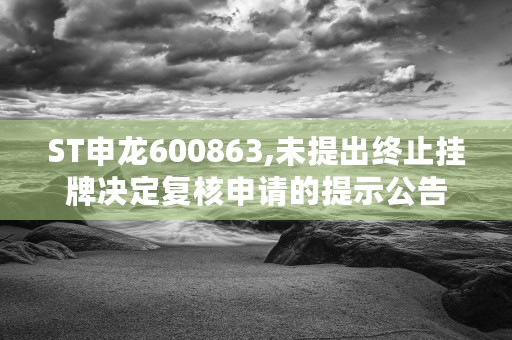 ST申龙600863,未提出终止挂牌决定复核申请的提示公告