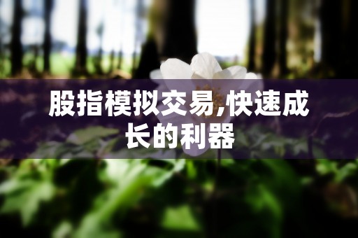 股指模拟交易,快速成长的利器