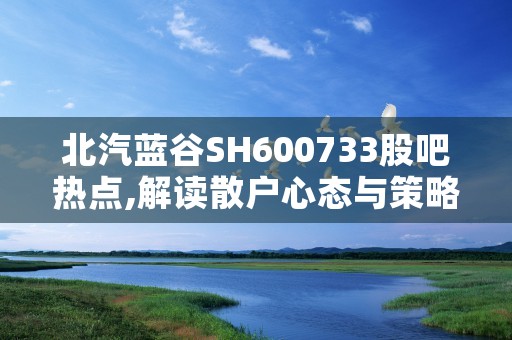 北汽蓝谷SH600733股吧热点,解读散户心态与策略