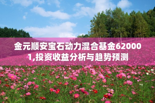 金元顺安宝石动力混合基金620001,投资收益分析与趋势预测