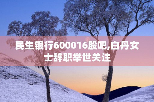 民生银行600016股吧,白丹女士辞职举世关注