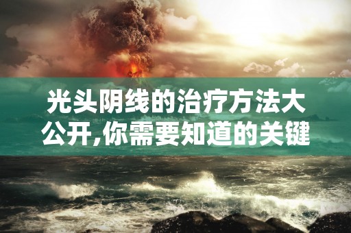 操作攻略汇添富医疗服务混合基金定投日记,近期的投资策略分享