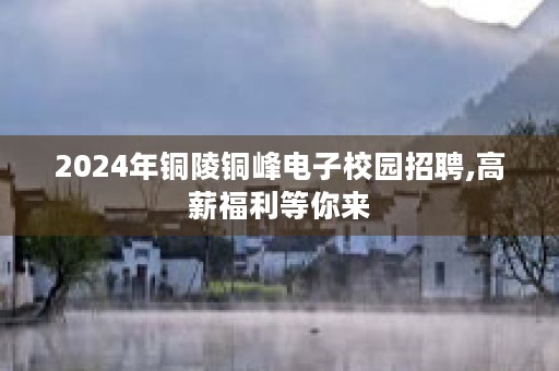 2024年铜陵铜峰电子校园招聘,高薪福利等你来