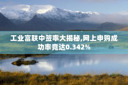 工业富联中签率大揭秘,网上申购成功率竟达0.342%