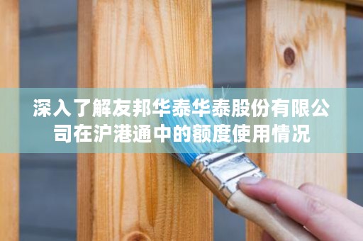 深入了解友邦华泰华泰股份有限公司在沪港通中的额度使用情况